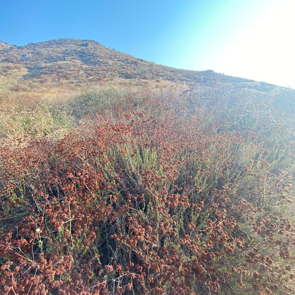 Meet your Posher, Astrid - Picture 3 of 3